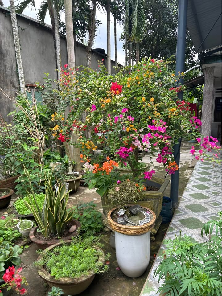 Cho thuê nhà cấp 4 Hòa Minh 100m² giá 5 triệu - Sẵn sàng ở ngay!