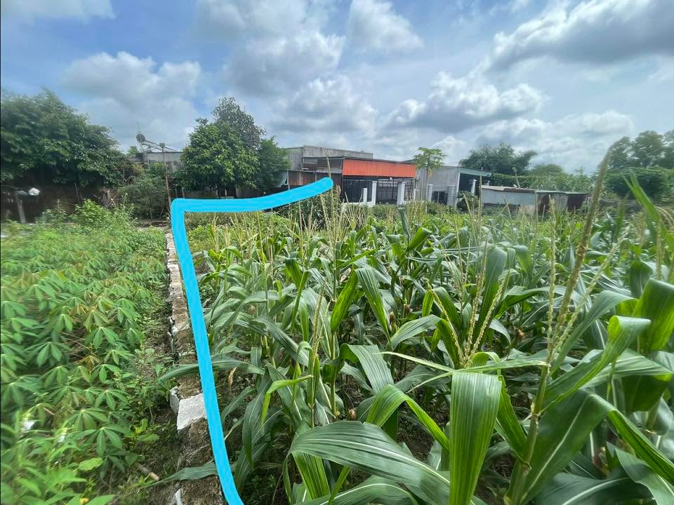 Đất nền Tân Hưng - Bà Rịa 95m² giá 550 triệu - Đầu tư tiềm năng!!!