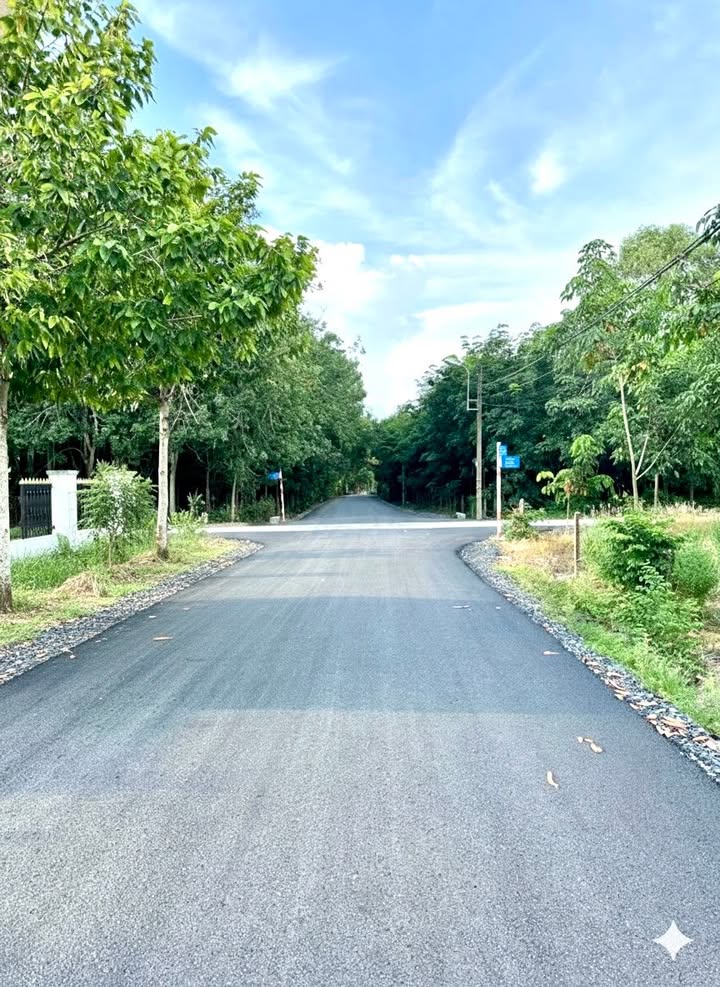 Đất nền Nguyễn Thị Lộc Củ Chi 349m² - Xây dựng tự do