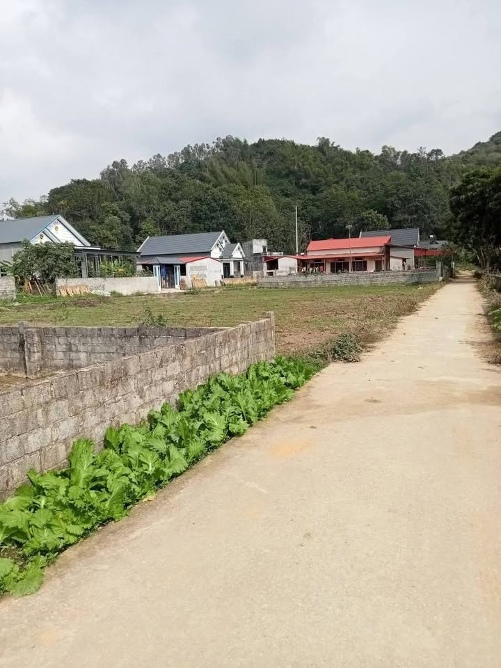 Đất nền Vĩnh Quang Vĩnh Lộc 300m² giá 5 tỷ - 3 mặt tiền cực hiếm!