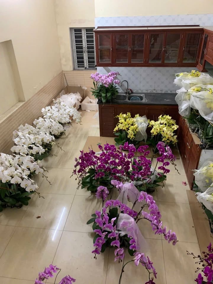 Cho thuê nhà riêng An Đồng 3 tầng 4 triệu - Sẵn sàng ở ngay!