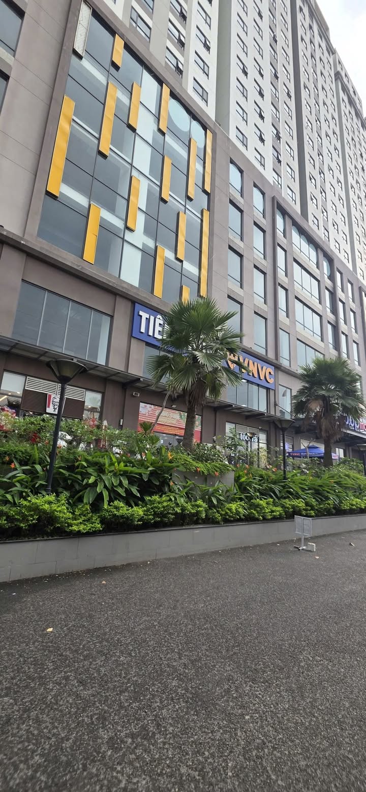 Sàn Thương Mại Green River Q8, Quận 8 - Vị Trí Đắc Địa, Diện Tích Lớn