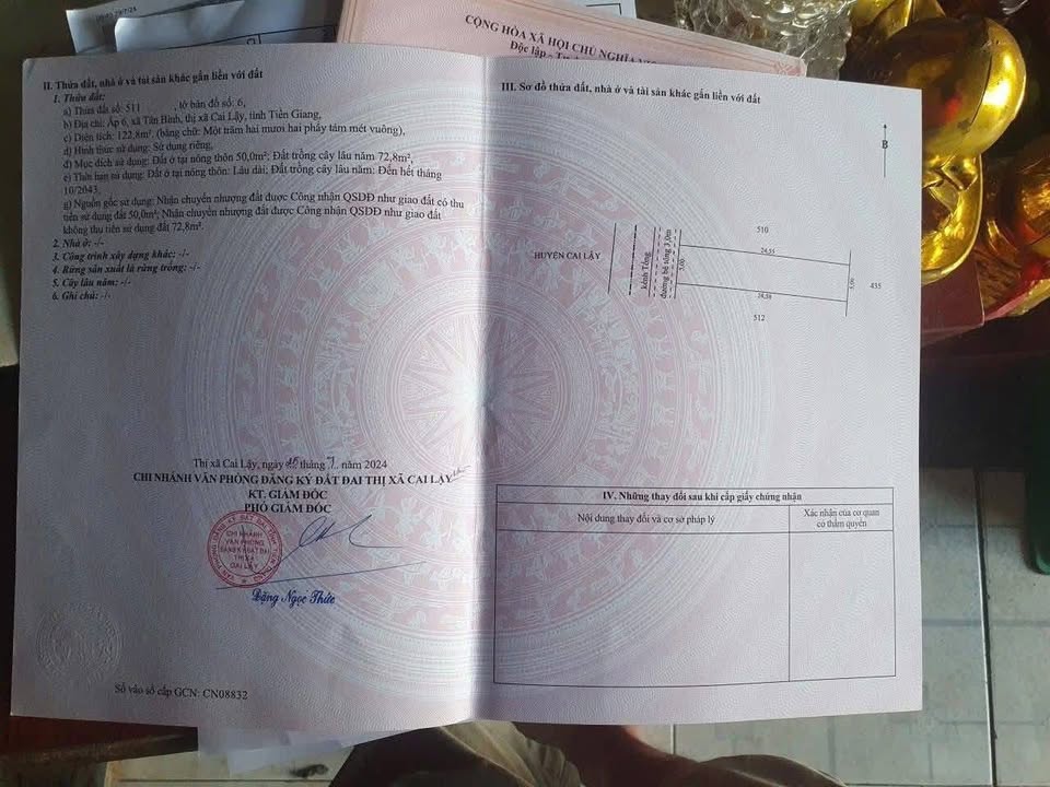 Đất nền 125m² tại Ấp 6 Tân Bình - Giá chỉ 290 triệu - Đầu tư sinh lời!