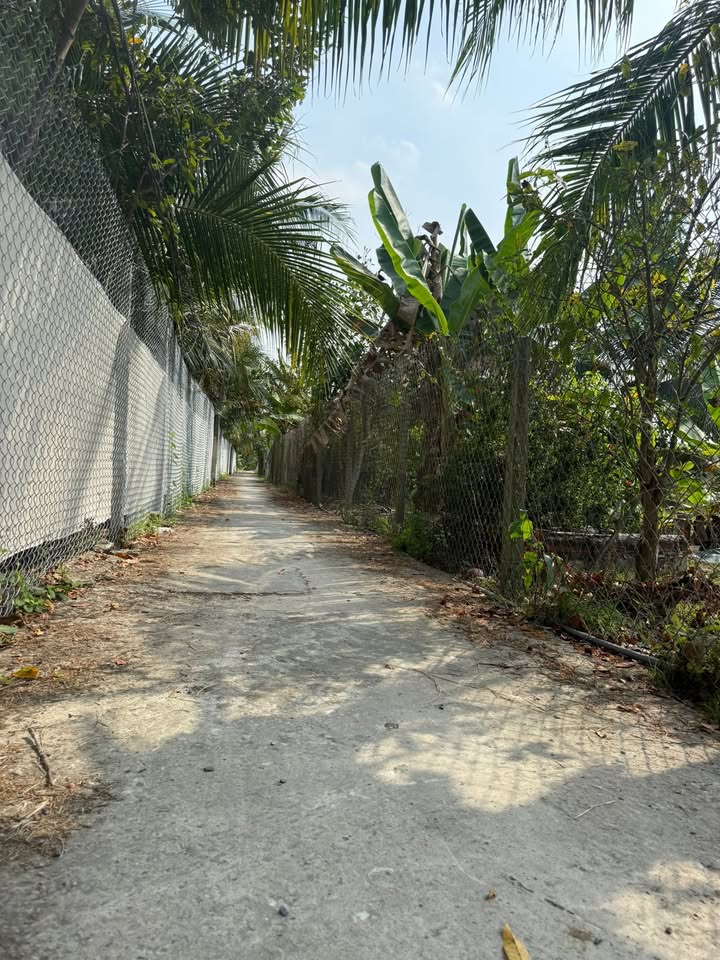 Đất nền Hậu Thành, Cái Bè 1022m² - Tiềm năng tăng giá!