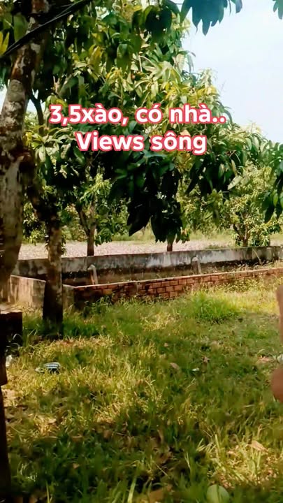 Bán Đất Vườn Thanh Sơn Định Quán 3.500m² Giá 800 Triệu - Nghỉ Dưỡng Lý Tưởng!