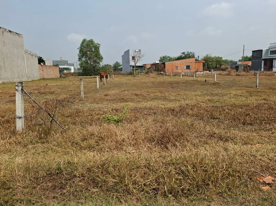 Đất nền Mỹ Hạnh Bắc 150m² giá 1.25 tỷ - Pháp lý rõ ràng!