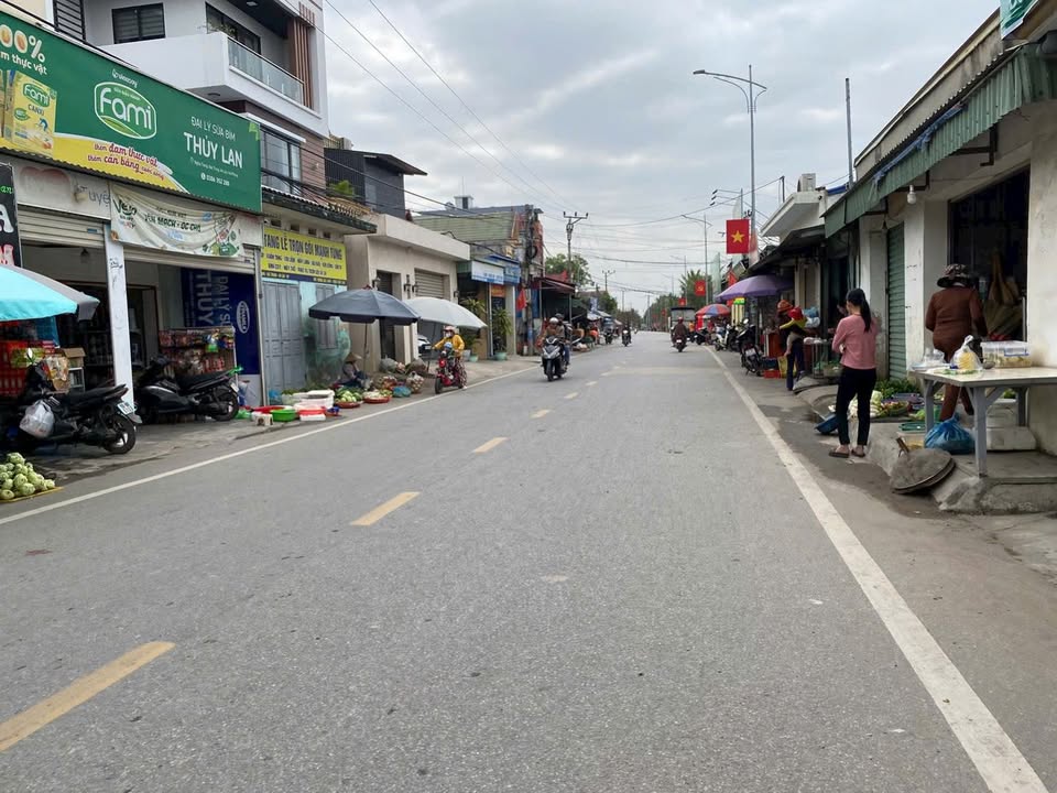 Nhà phố mặt đường 301 An Lão 115m² hơn 3 tỷ - Mặt tiền kinh doanh đắc địa!