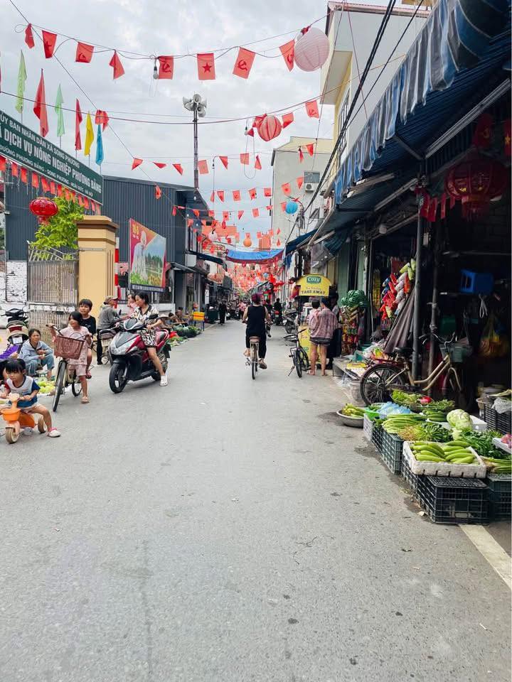 Đất nền Song Phương, Hoài Đức 52m² - Tiềm năng tăng giá vượt trội!