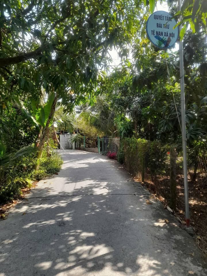 Đất nền Vĩnh Thới, Đồng Tháp 259m² giá 570 triệu - Đầu tư sinh lời ngay!