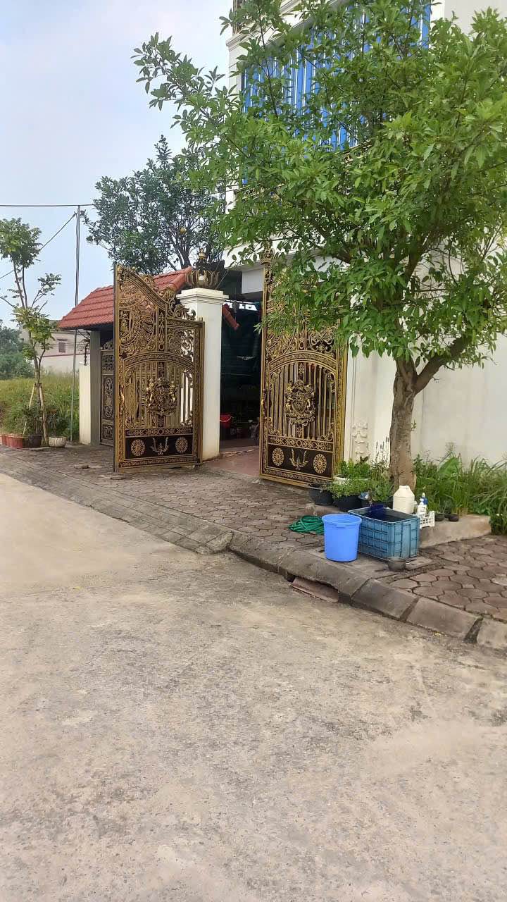 Đất nền Cẩm Sơn, Cẩm Xá 97m² giá 1 tỷ - Sổ đỏ riêng, xây dựng ngay!