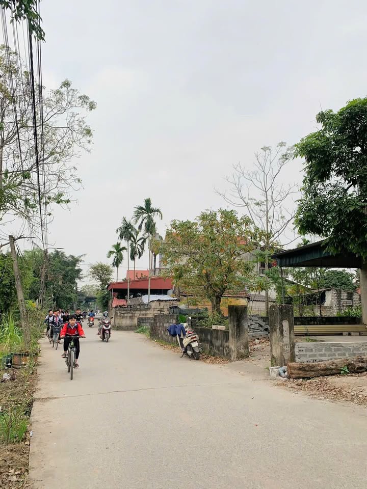 Đất nền Tràng An 100m² giá hơn 1 tỷ - Đường to ô tô