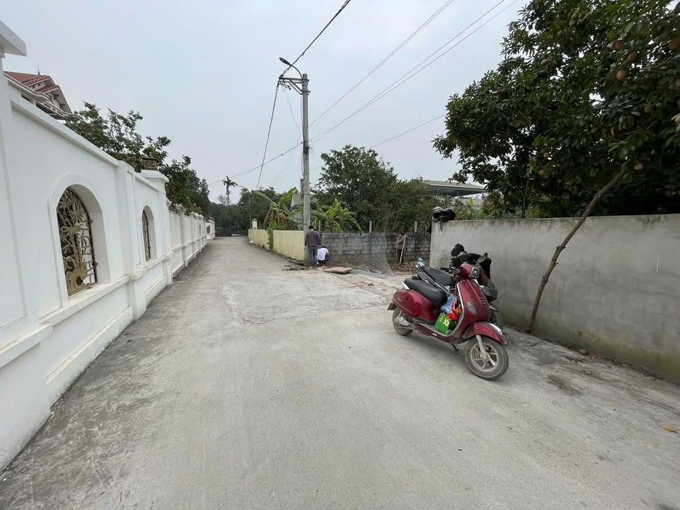 Đất nền Chính Lý, Lý Nhân, Hà Nam 1382m² - Tiềm năng tăng giá vượt trội!