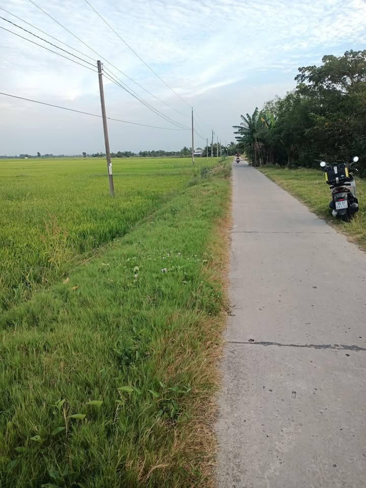 Đất nền Xã Thạnh Lộc 2000m² giá 990 triệu - Tiềm năng tăng giá vượt trội!