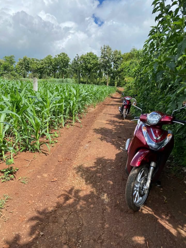 Đất nền Quảng Hiệp 360m² giá chỉ 200 triệu - Cơ hội đầu tư tuyệt vời!