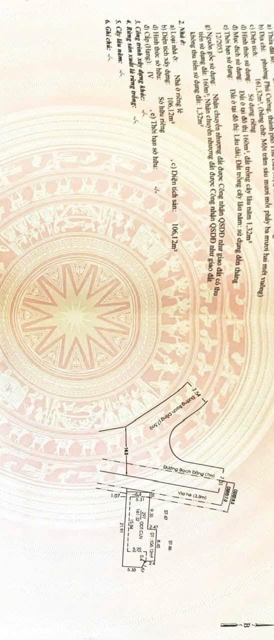 Nhà 161m² Bạch Đằng TDM - Full Thổ Cư, Giá 12 Tỷ