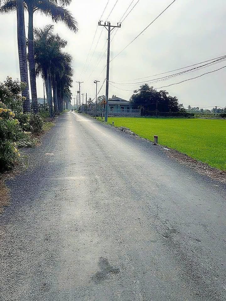 Đất nền Tân Trụ, Long An 210m² - Sổ đỏ chính chủ, ô tô vào tận nơi!