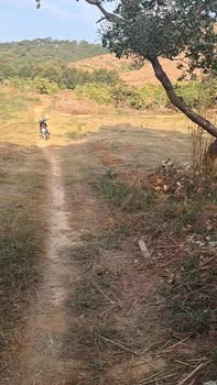 Đất vườn Bù Đăng 20.000m² giá 1 tỷ - Nghỉ dưỡng lý tưởng!