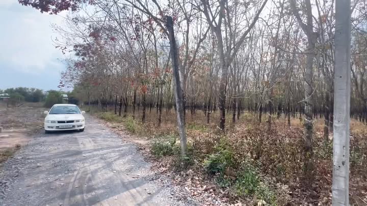 Đất nền Tiên Thuận 185m² giá 280 triệu - Đất thổ cư 100%