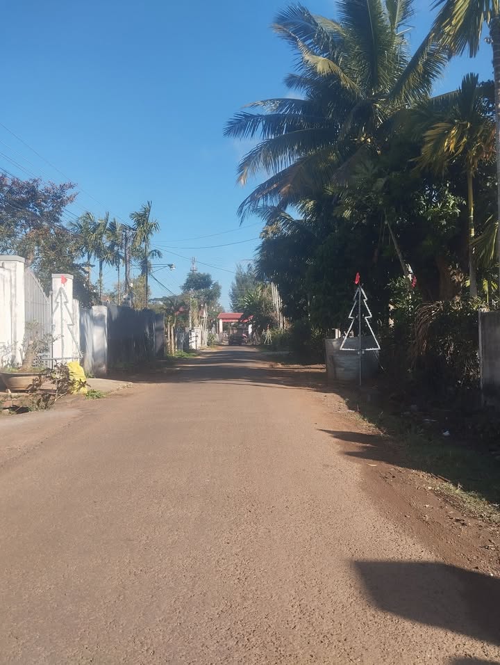 Đất thổ cư 120m² mặt tiền đường 21B, huyện Đông Hòa - Cơ hội đầu tư hấp dẫn!