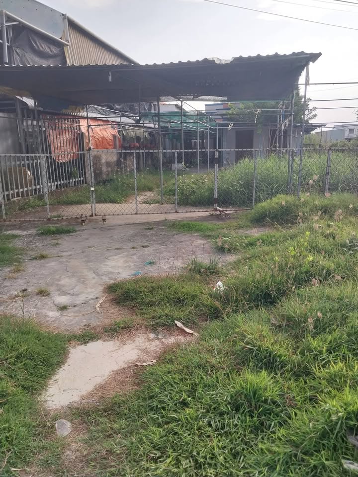 Đất nền Quốc lộ 50, Quận 8, 1300m² - Tiềm năng tăng giá vượt trội!