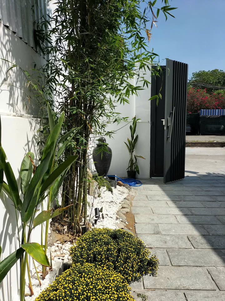 Bán Nhà Bình Quới Bình Thạnh 116m² 11.8 Tỷ - Sống Xanh Như Nghỉ Dưỡng