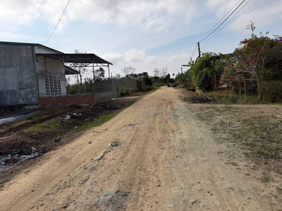 Đất vườn Ea Kar Đắk Lắk 5000m² - Sổ đỏ chính chủ, đầu tư sinh lời!