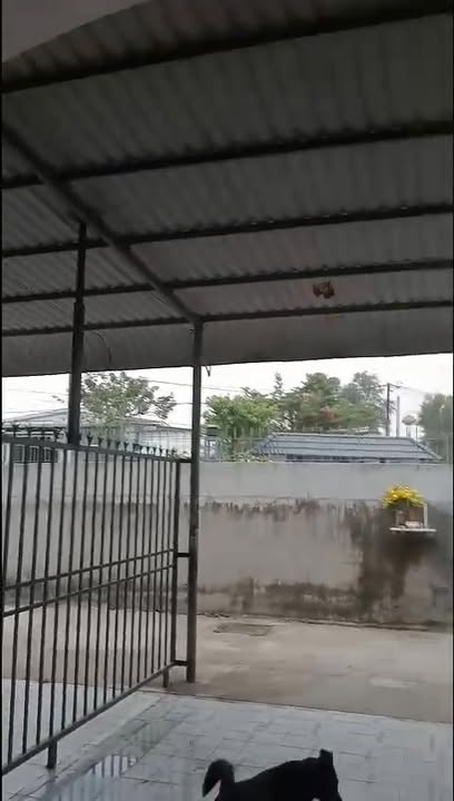 Nhà riêng 64m² Tân Phước Khánh, Tân Uyên – Ô tô vào tận nhà!