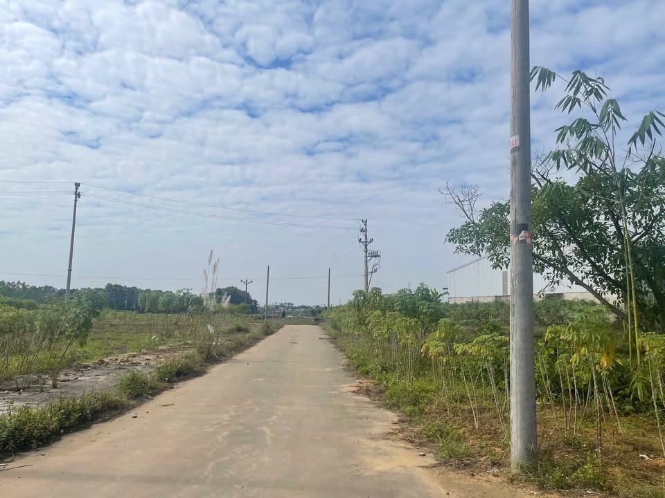 Đất đấu giá đẹp tại Khu 12 Tiên Kiên 92m² - Giá rẻ nhất khu vực!