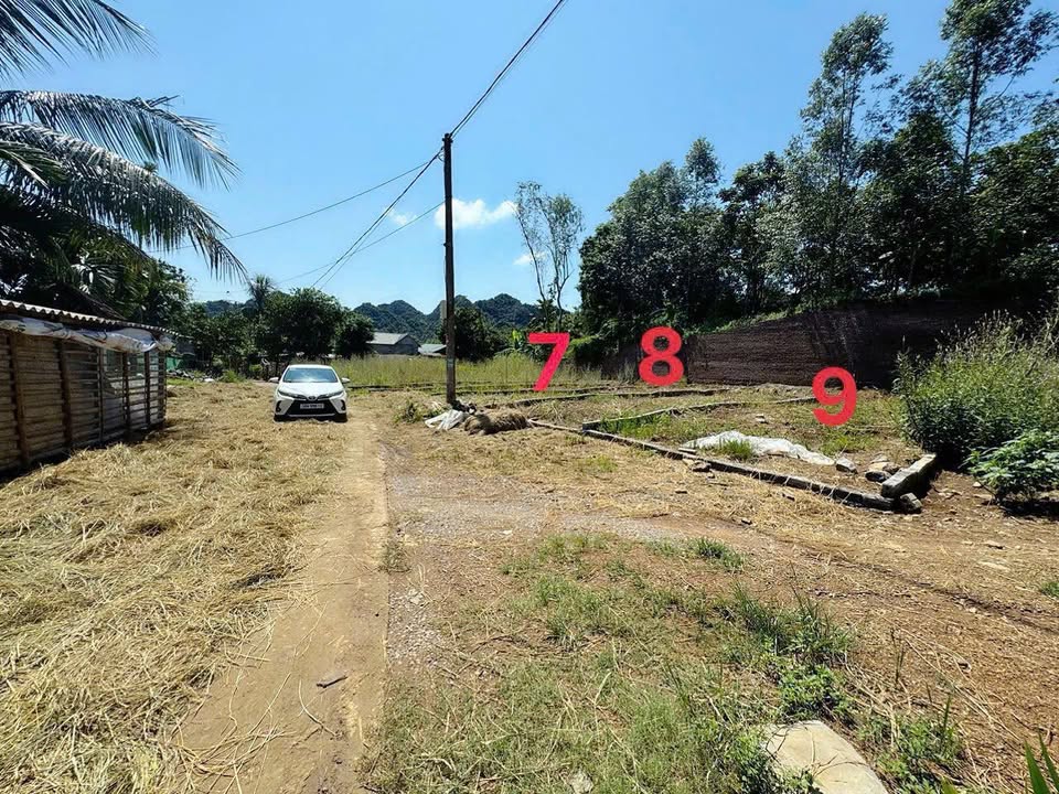 Đất nền Lạc Lương, Yên Thủy 105m² - Sổ đỏ chính chủ, giá tốt!