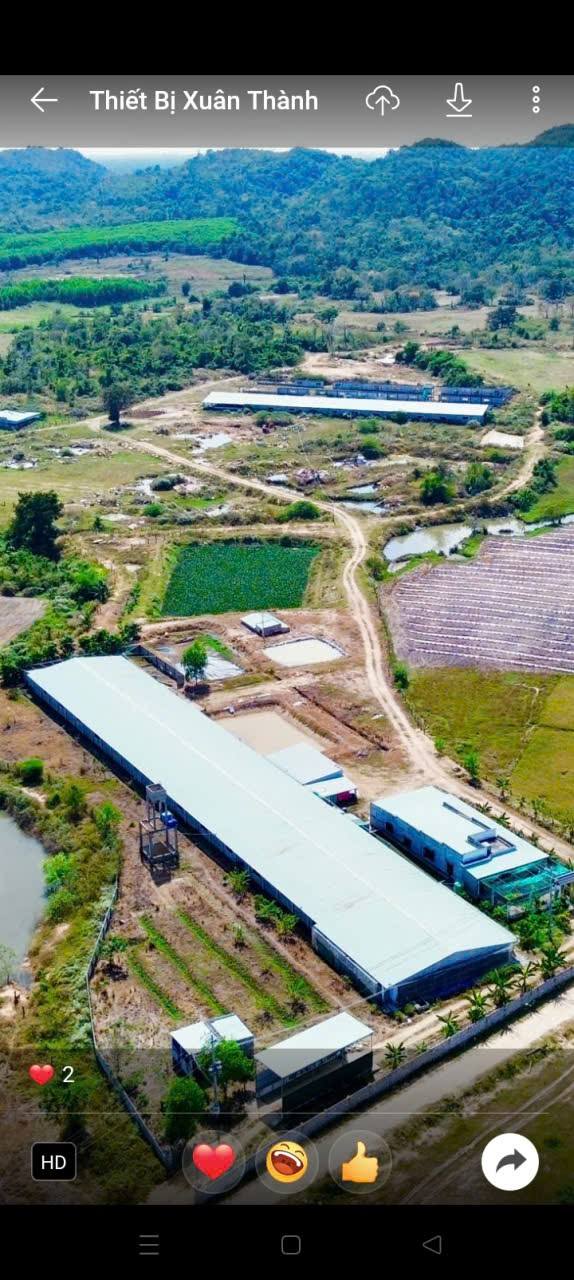 Bán trang trại chăn nuôi Hàm Thuận Bắc 5ha - Sẵn sàng hoạt động ngay!
