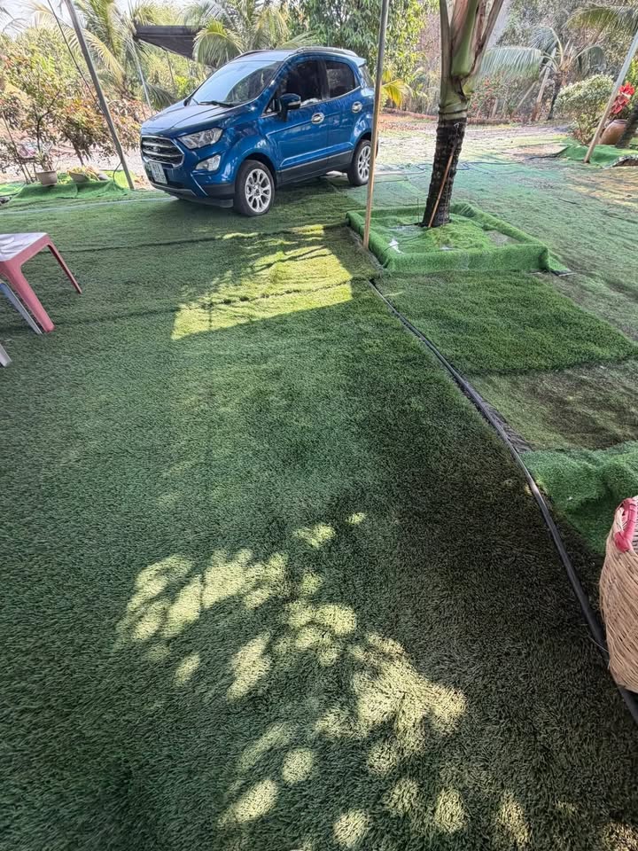 Bán nhà vườn An Tây Bến Cát 2800m² giá 7.9 tỷ - Nghỉ dưỡng lý tưởng!