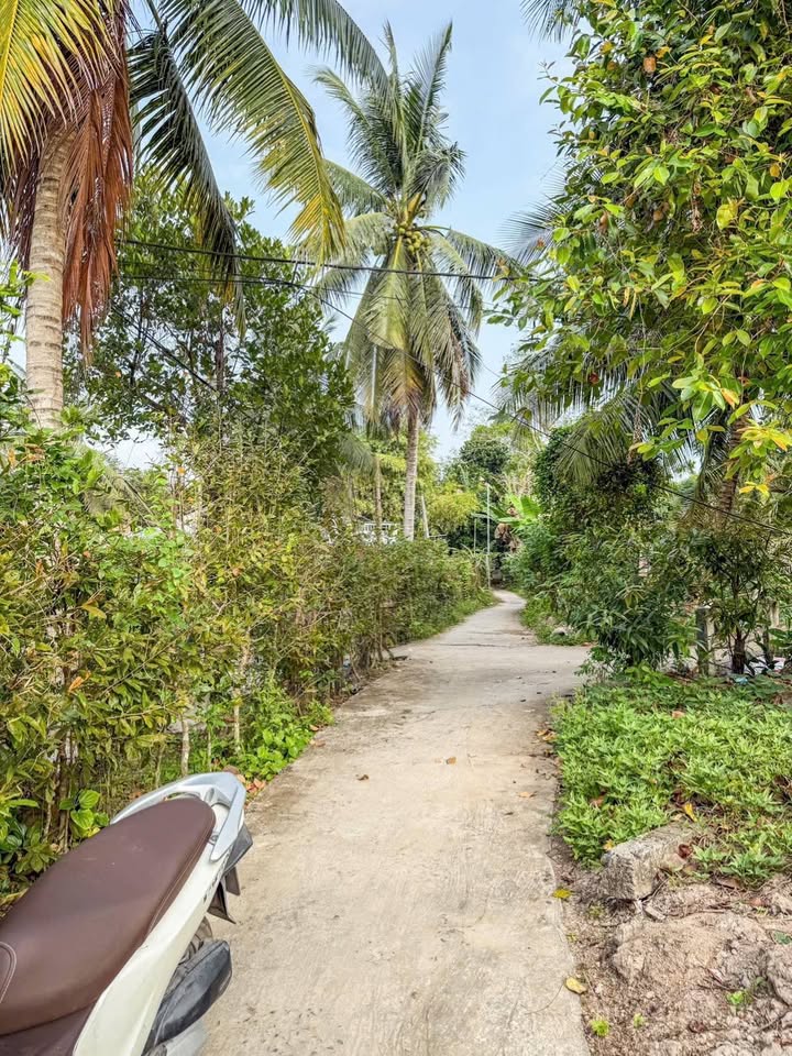 Đất nền 10x50m tại Giai Xuân, Phong Điền - Giá chỉ từ 600 triệu