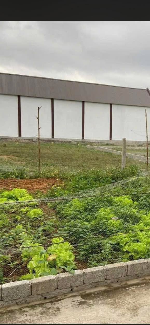 Đất thổ cư Xã Phú Sơn, Huyện Tân Kỳ 210m² giá 300 triệu - Cơ hội đầu tư lý tưởng!