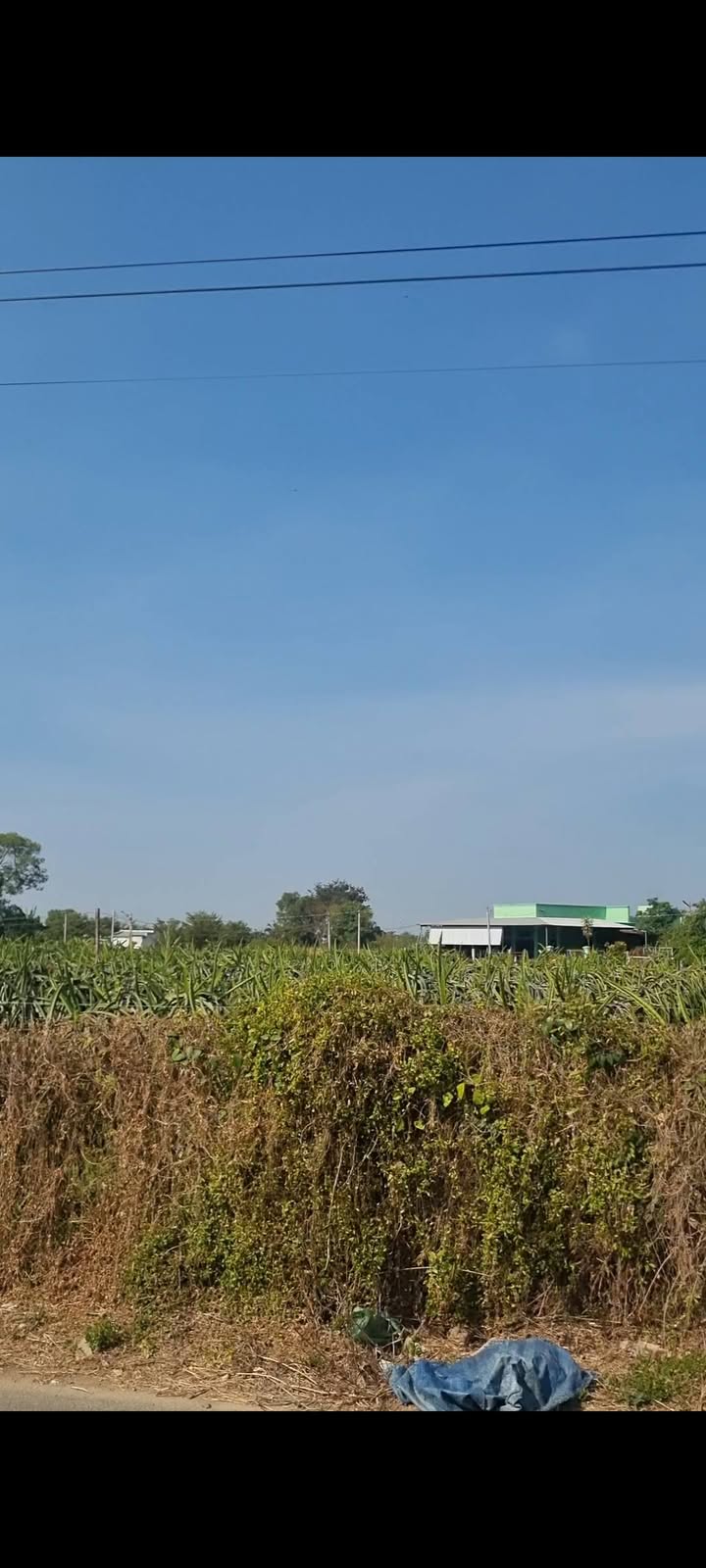 Đất mặt tiền đường nhựa Xoài Quỳ, xã Hàm Thắng 7200m² - Phù hợp chuyển thổ cư!