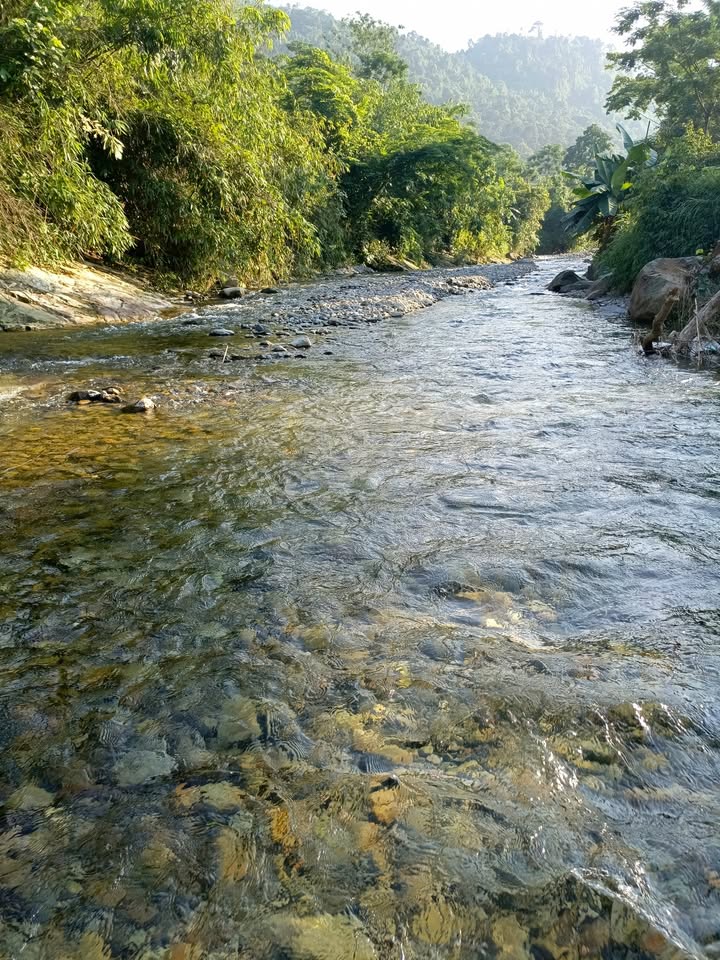 Đất Nền Nghỉ Dưỡng 2400m² - Hoàng Nông, Đại Từ - Sẵn Sàng Đầu Tư Farmstay