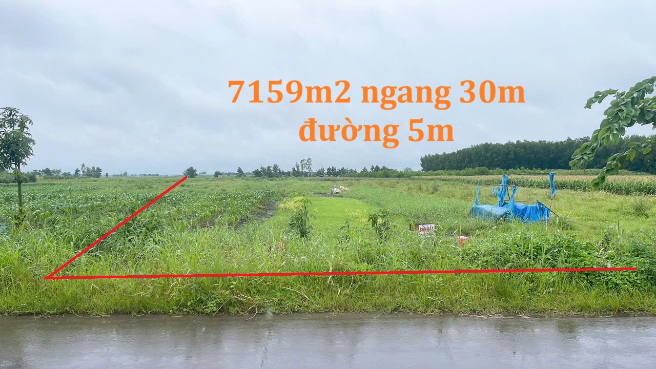 Bán đất Xuân Đông Cẩm Mỹ 7159m² giá 9 tỷ - Tiềm năng tăng giá!