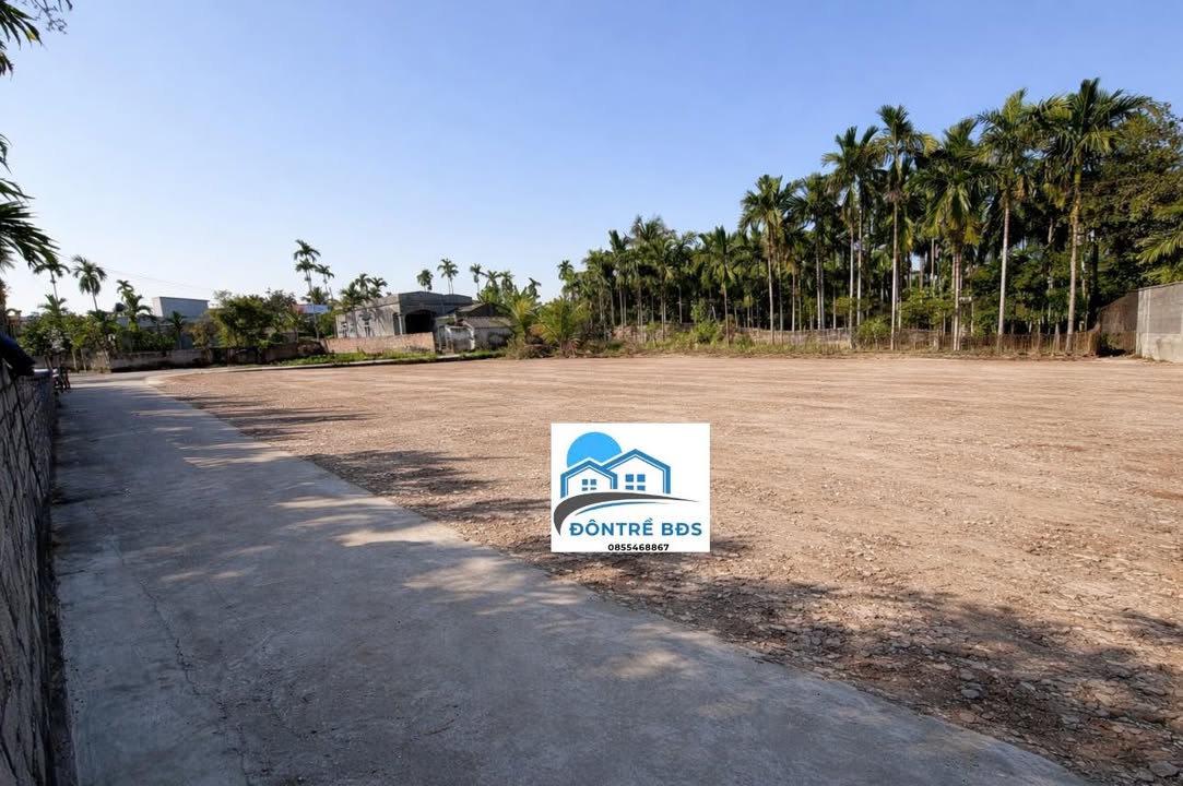 Đất thổ cư 115m² tại xã Minh Tân, huyện Kiến Thụy - Pháp lý sổ hồng, vị trí thuận lợi!