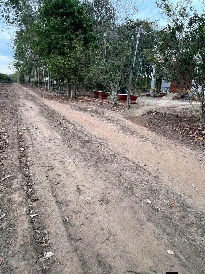 Đất nền An Bình, Phú Giáo 250m² giá 410 triệu - Sổ đỏ chính chủ ngay lập tức!