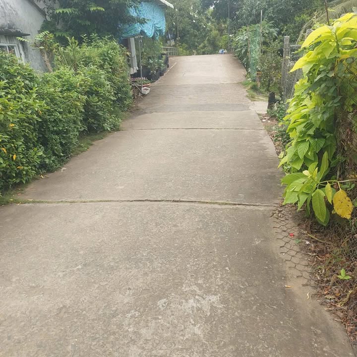 Đất nền Tân Khánh Đông 153m² giá 650 triệu - Tiềm năng đầu tư lớn!