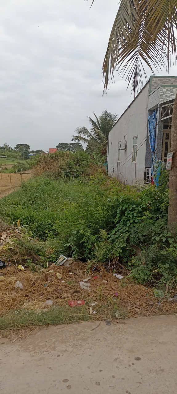 Đất rẫy 1020m² mặt tiền 6m, giá 800 triệu - Cơ hội đầu tư tại Chợ Mới An Giang!