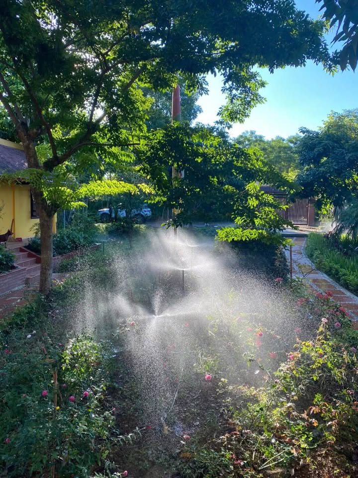 Đất Vườn 920m² Bám Hồ Đồng Mô, Ba Vì - Sổ Đỏ Sẵn Sàng