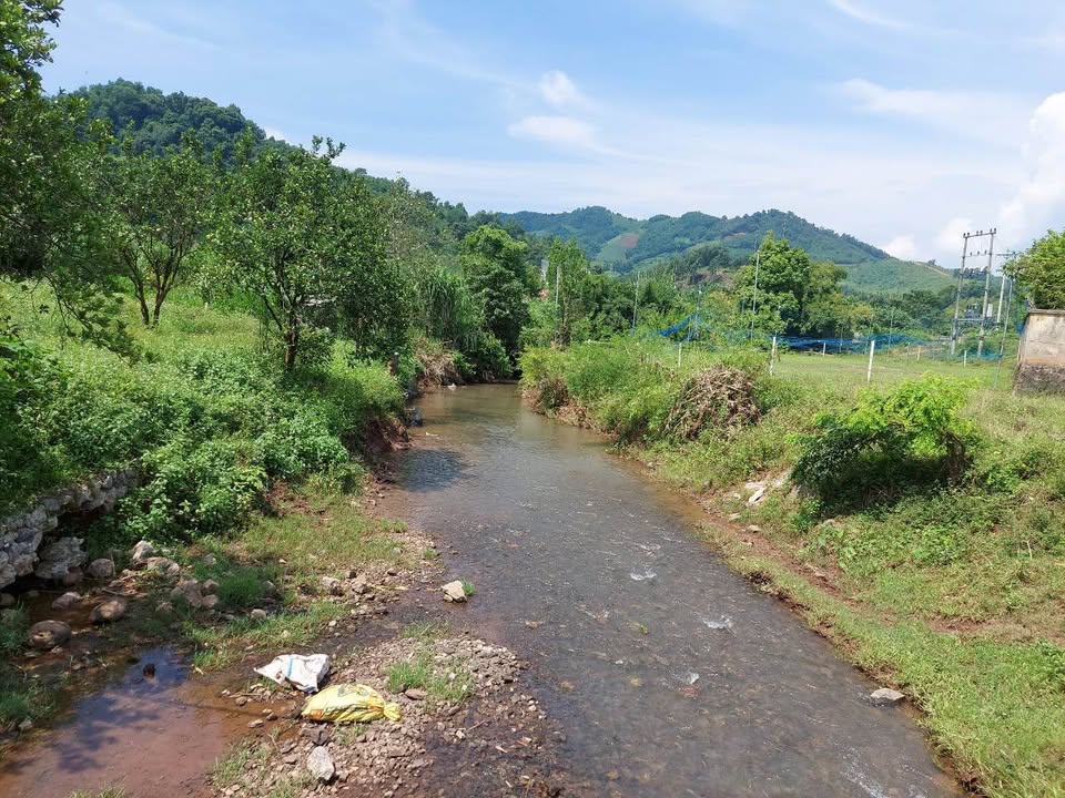 Đất nền Thạch Thất 1001m² - Sẵn sàng làm Nhà vườn/Nghỉ dưỡng, view thoáng