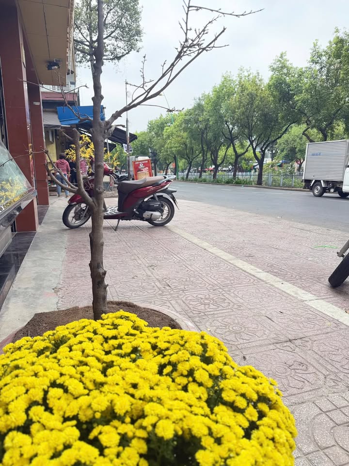 Bán nhà mặt tiền Hoàng Sa Quận 3 30m² 10.9 tỷ - Vị trí kinh doanh vàng