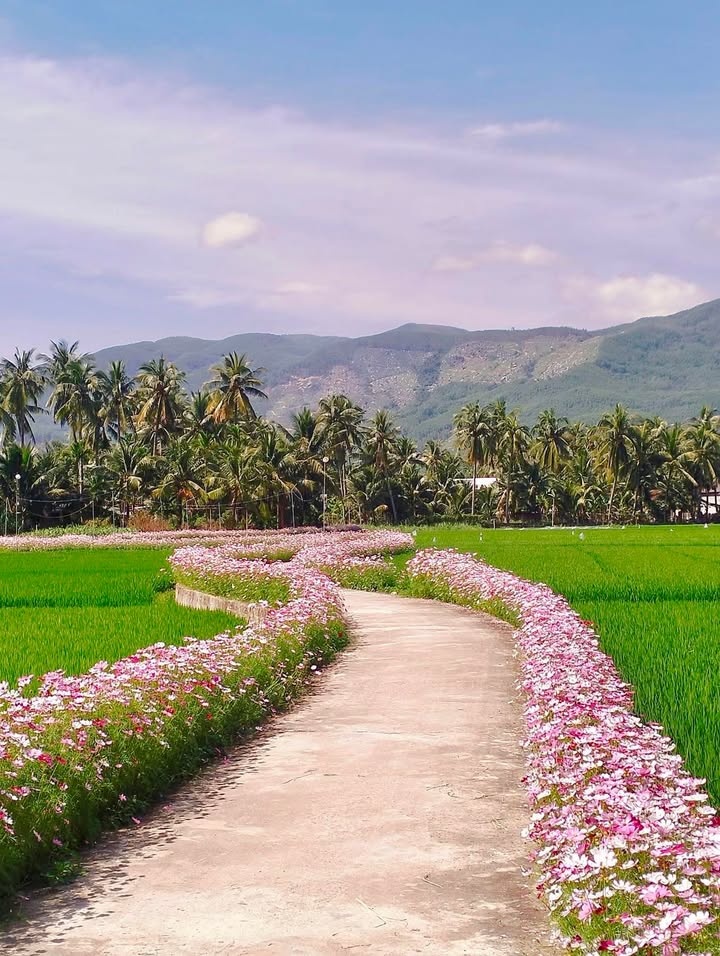 Đất nền Tam Quan Nam Hoài Nhơn 90m² giá 3xx triệu - Sổ đỏ chính chủ