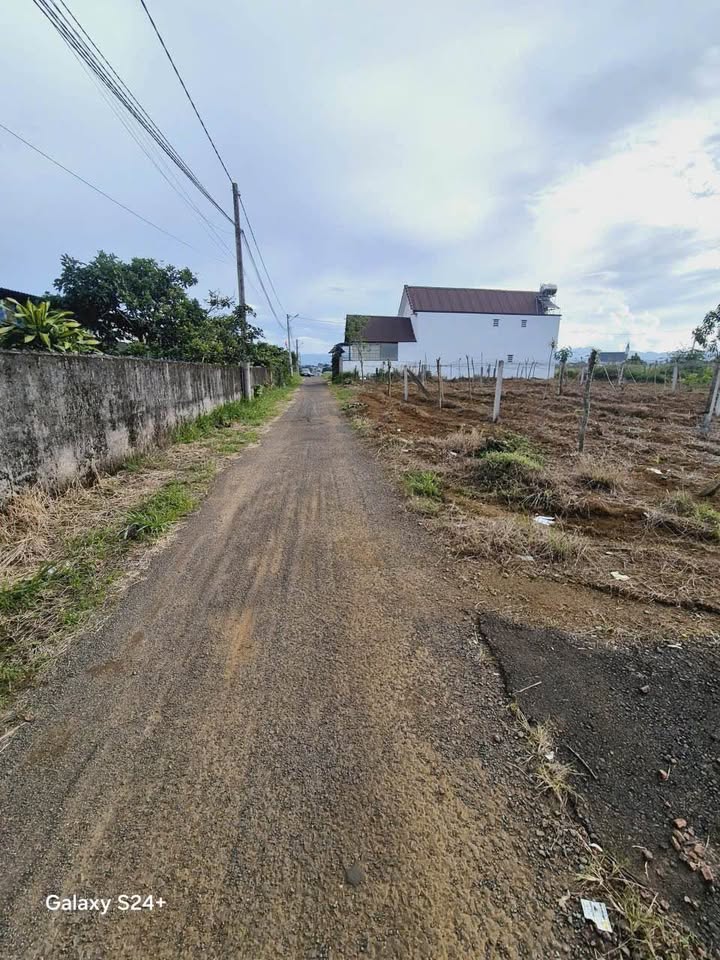 Đất thổ cư Hẻm Nguyễn Trãi, Bảo Lộc 168m² giá 1.98 tỷ - Đầu tư sinh lời ngay!