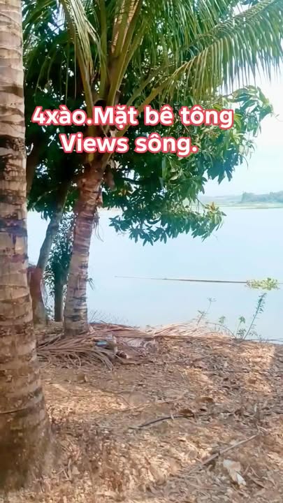 Đất vườn Thanh Sơn Định Quán 4000m² giá 800tr - Nghỉ dưỡng lý tưởng