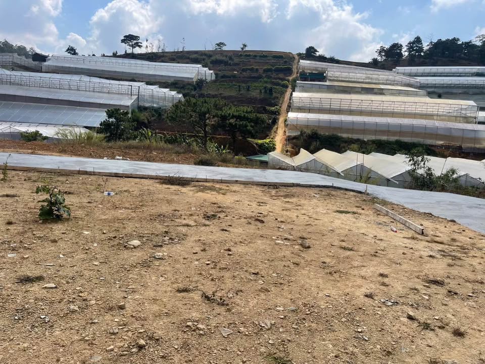 Bán đất LangBiang Đà Lạt 110m² giá 950 triệu - Sổ đỏ chính chủ