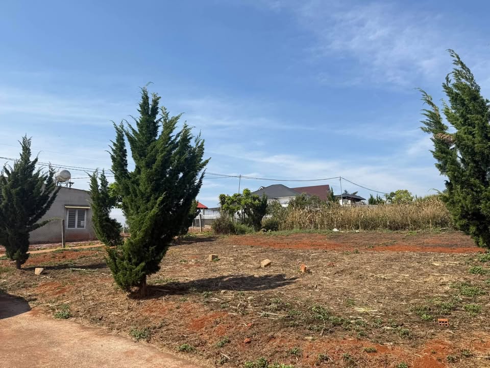 Đất nền Lâm Hà 500m² giá 1.15 tỷ - Sổ hồng chính chủ bán gấp!