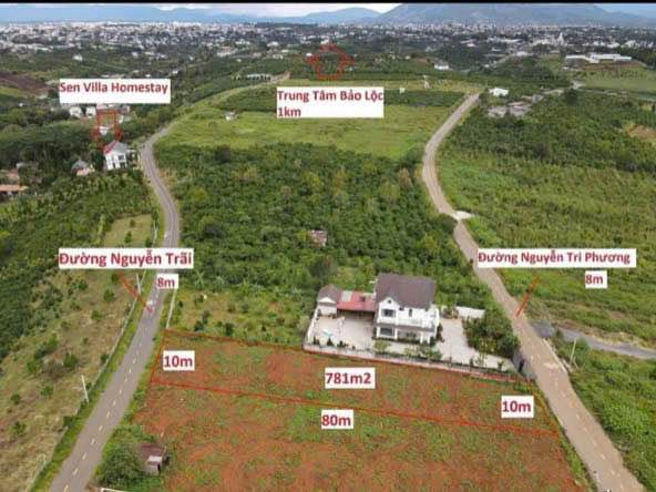 Đất 2 mặt tiền Nguyễn Trãi Bảo Lộc 800m² 3.1 tỷ - Giá tốt hiếm có