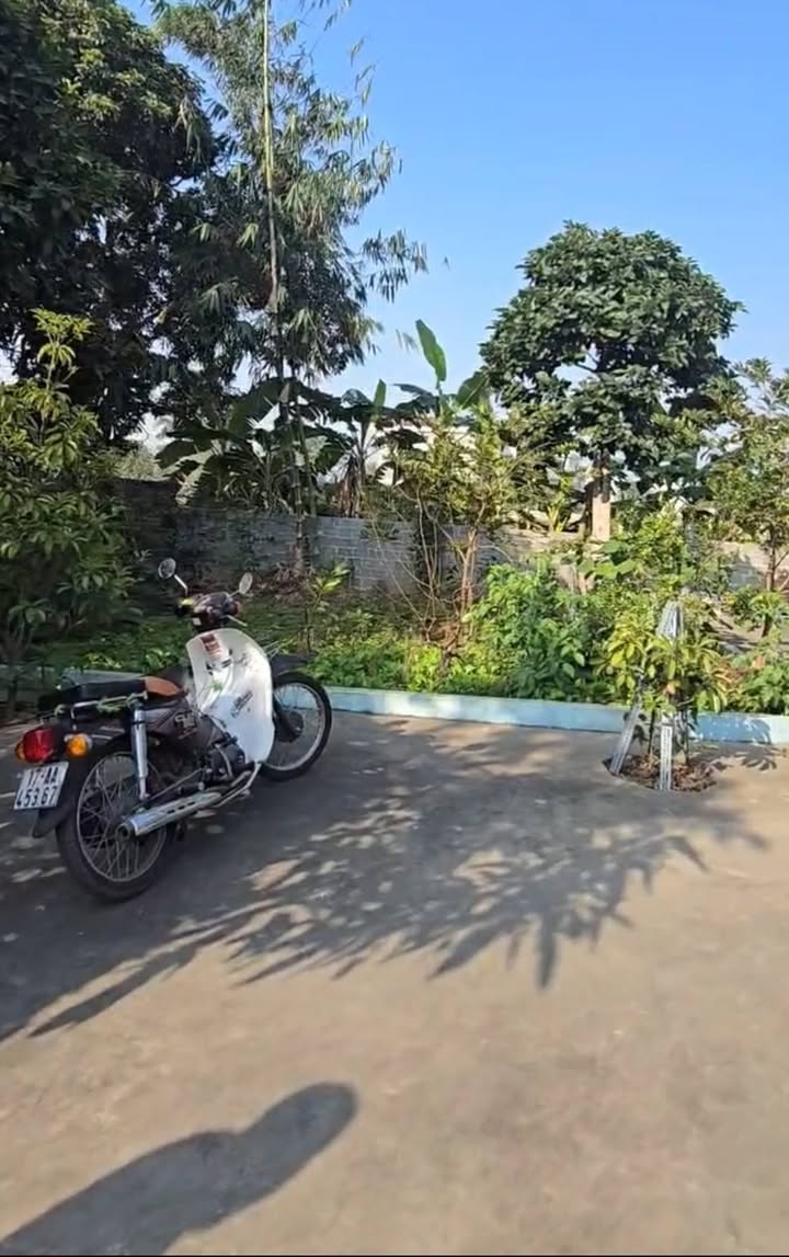 Bán Đất Vườn 1000m² Hưng Hà, Thái Bình - Sổ Đỏ Rõ Ràng, Kinh Doanh Tốt